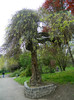 DSCN3215