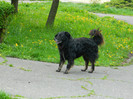 DSCN3218