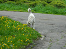 DSCN3219
