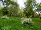 DSCN3224