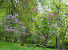 DSCN3226