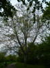 DSCN3227