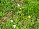 DSCN3233