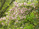 DSCN3235
