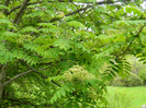 DSCN3236