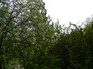 DSCN3238