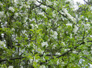DSCN3239