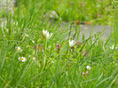 DSCN3242