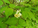 DSCN3244