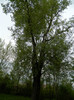 DSCN3247