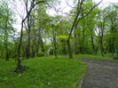 DSCN3250