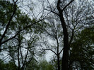 DSCN3254