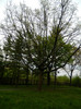 DSCN3260