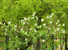 DSCN3264