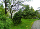 DSCN3266