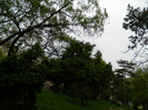 DSCN3267