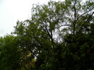 DSCN3268