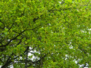 DSCN3270