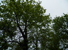 DSCN3272