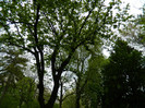 DSCN3274