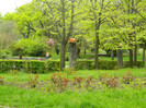 DSCN3288