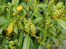 DSCN3294