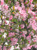 DSCN3305