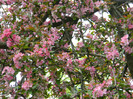 DSCN3307