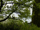 DSCN3314