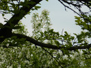 DSCN3315
