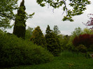 DSCN3317