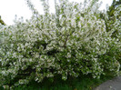 DSCN3321