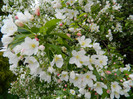 DSCN3322
