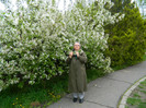 DSCN3324
