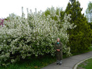 DSCN3328