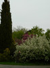 DSCN3331