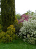 DSCN3335