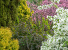 DSCN3336