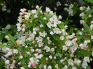 DSCN3337