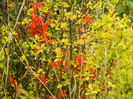 DSCN3339