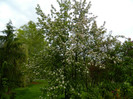 DSCN3342