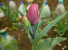 P1000373