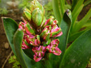 P1000379