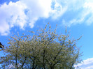 IMAG0001