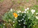 IMAG0011