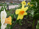 P1000385