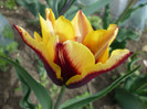 P1000398