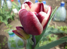 P1000399