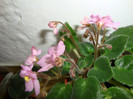 DSC04886