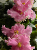 DSCN8162